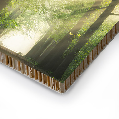 Stampa online su Re-board, un materiale ecologico, leggero, resistente e flessibile.